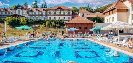 Erzsbet Park Hotel Pardfrd - 3 jszaks wellness ajnlatok