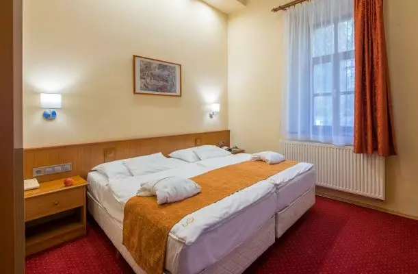 Erzsbet Park Hotel Pardfrd