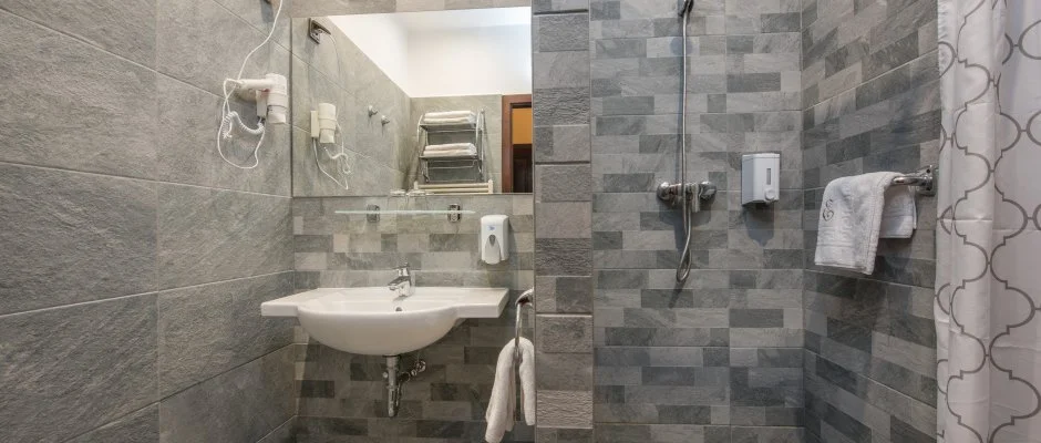 Erzsbet Park Hotel Pardfrd