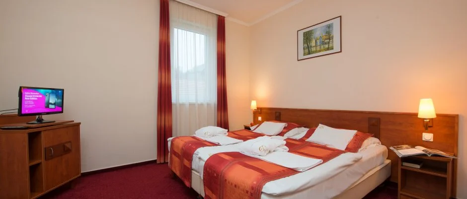 Erzsbet Park Hotel Pardfrd