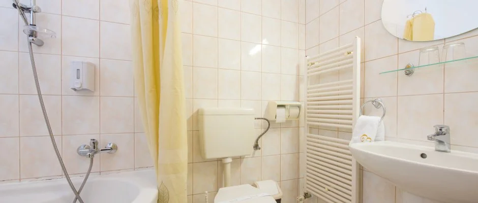 Erzsbet Park Hotel Pardfrd