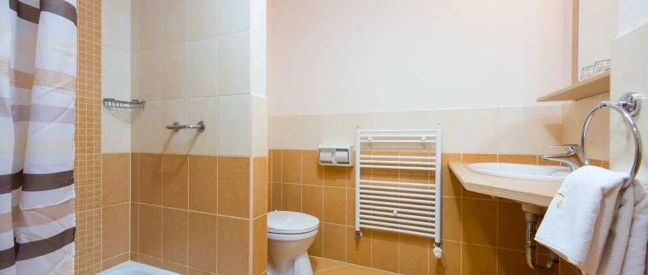 Erzsbet Park Hotel Pardfrd