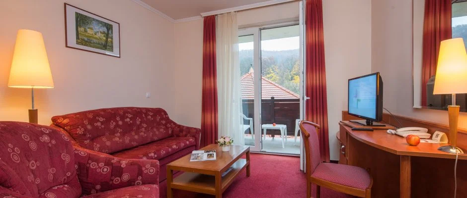 Erzsbet Park Hotel Pardfrd
