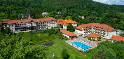 Erzsbet Park Hotel Pardfrd - 3 jszaks wellness ajnlatok