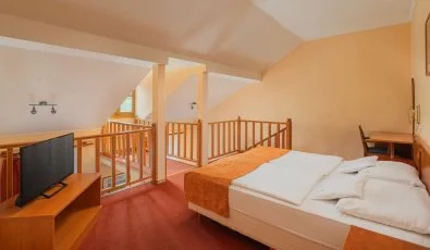 Erzsébet Park Hotel Parádfürdő