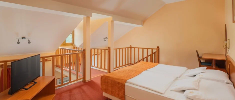 Erzsbet Park Hotel Pardfrd