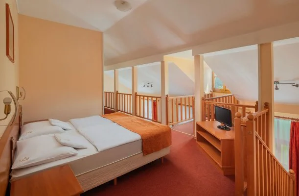 Erzsbet Park Hotel Pardfrd