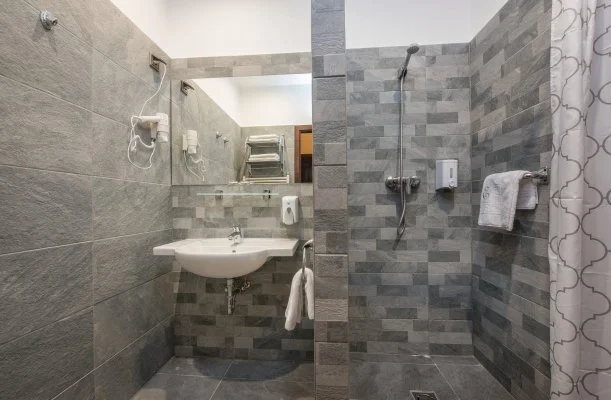 Erzsbet Park Hotel Pardfrd