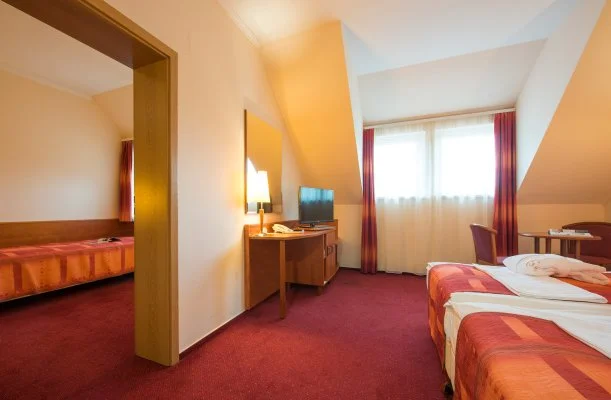 Erzsbet Park Hotel Pardfrd