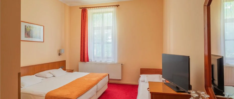 Erzsbet Park Hotel Pardfrd