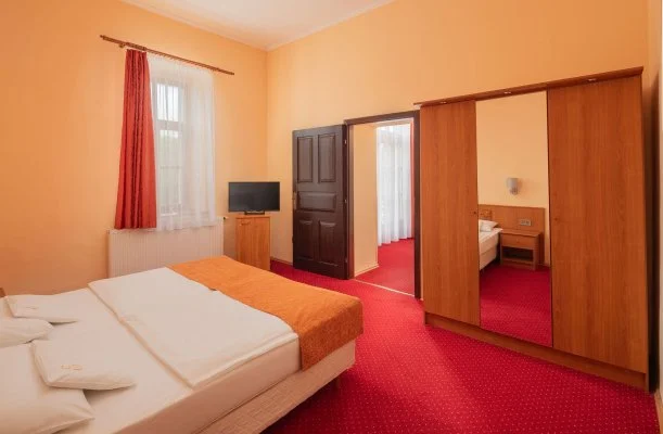 Erzs�bet Park Hotel Par�df�rd�