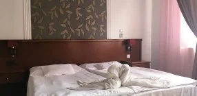 Eur�pa Panzi� - Napi �rak