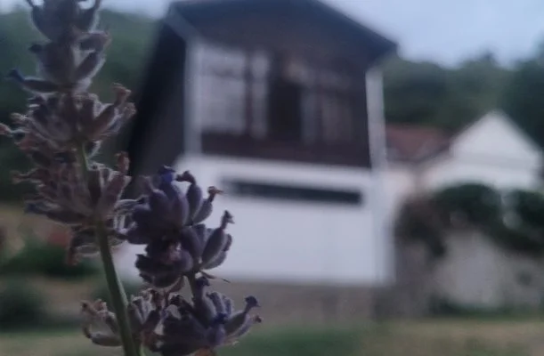 Ezüstfenyő Üdülő Visegrád Ezüstfenyő Üdülő Visegrád