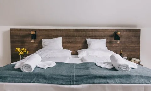 FATA Birtok Vendégház Nemesgulács - Badacsonyi feltöltődés borozgatással és wellnessel