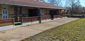 Feny Panzi - Napi rak flpanzival