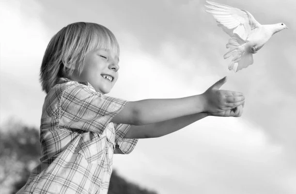 Fodor Hotel Gyula Fodor Hotel Gyula