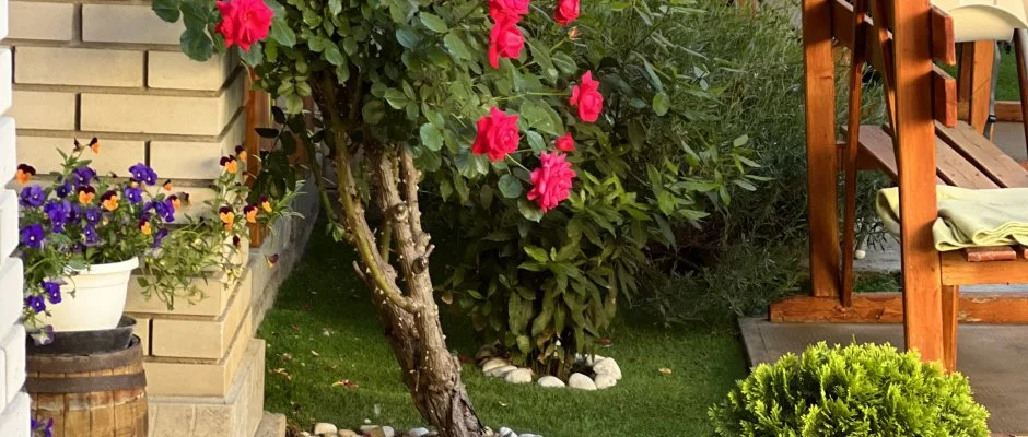 Fodor Hotel Gyula