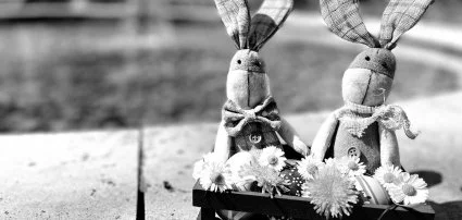 Főnix Wellness Resort Nógrádgárdony - Húsvéti akciós hétvége Főnix Wellness Resort Nógrádgárdony - Húsvéti akciós hétvége