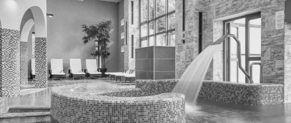 Fnix Wellness Resort Ngrdgrdony