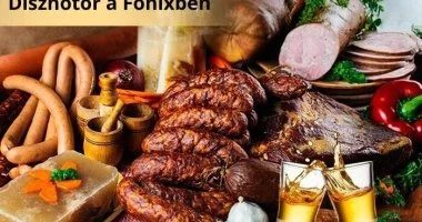 Diszntor a Fnixben (min. 2 j)