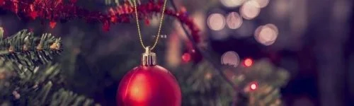 Főnix Wellness Resort