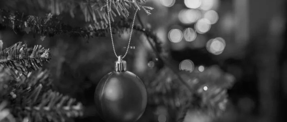 F�nix Wellness Resort N�gr�dg�rdony