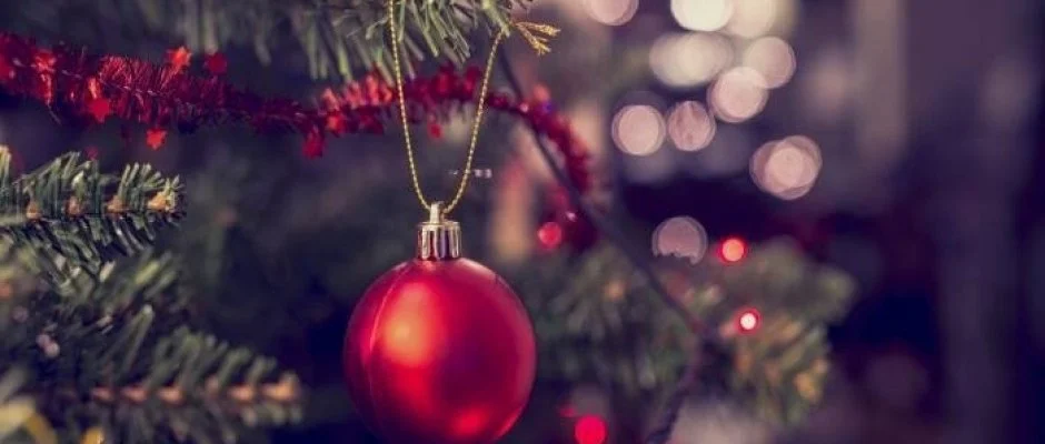 Fnix Wellness Resort Ngrdgrdony