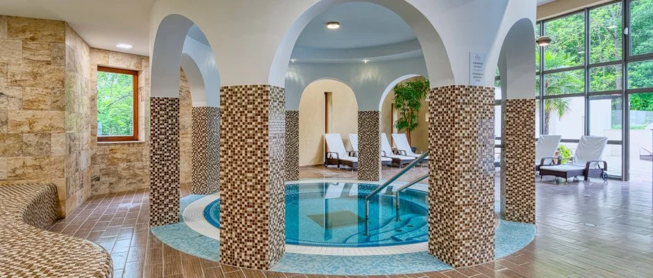 Fnix Wellness Resort Ngrdgrdony