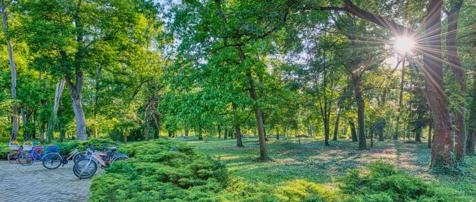 Fnix Wellness Resort Ngrdgrdony