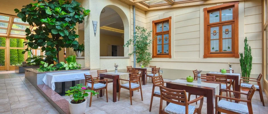 Fnix Wellness Resort Ngrdgrdony