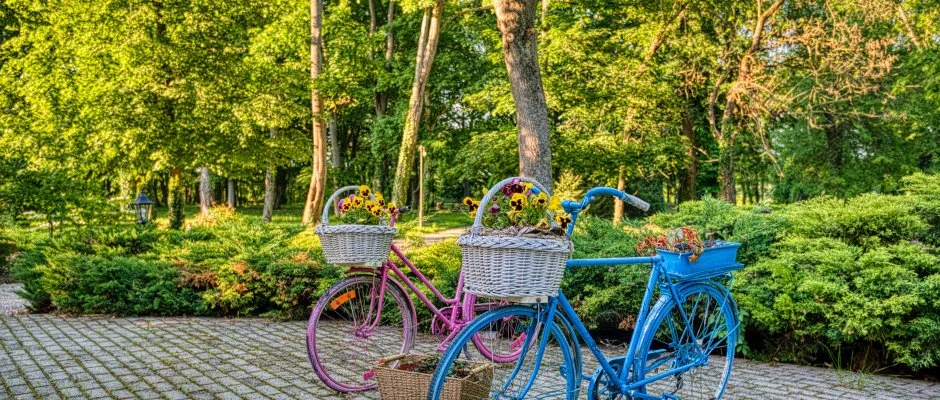 Fnix Wellness Resort Ngrdgrdony