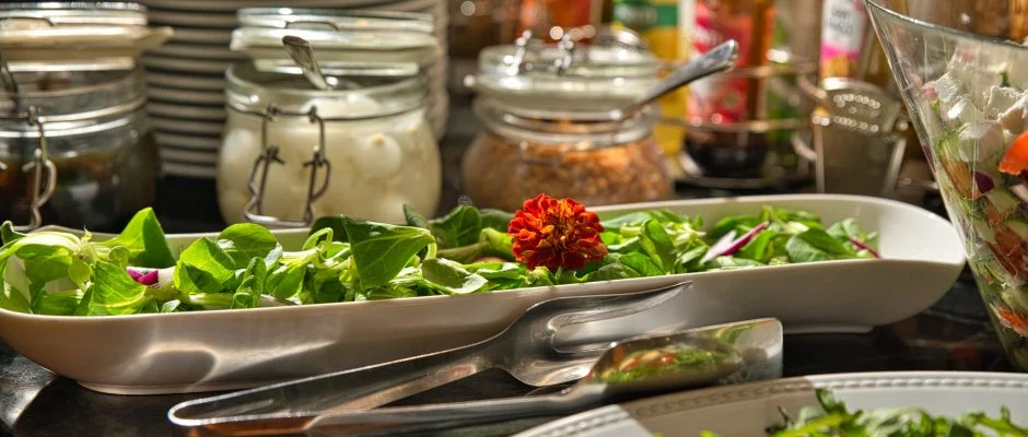 Fnix Wellness Resort Ngrdgrdony