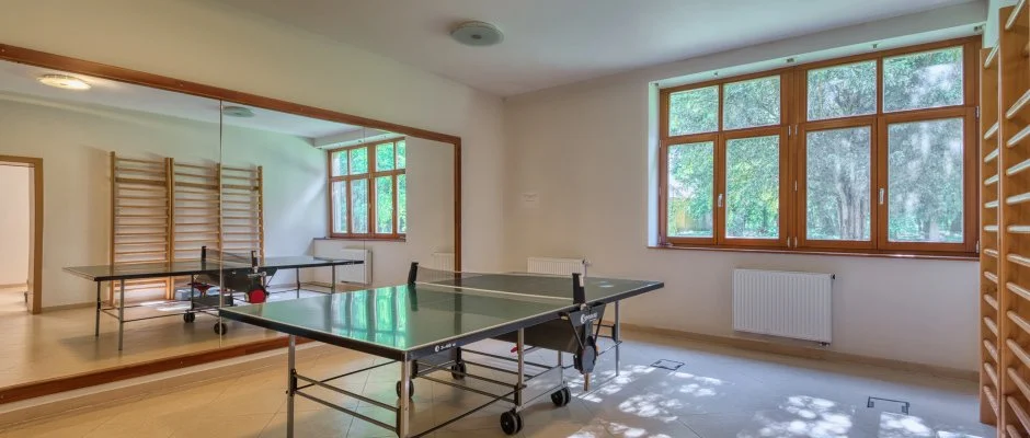 Fnix Wellness Resort Ngrdgrdony