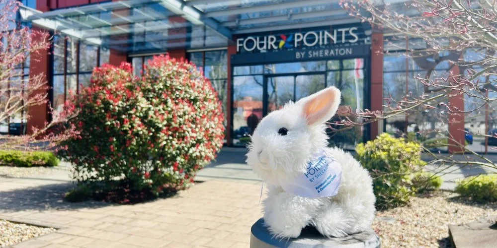 Four Points by Sheraton Kecskem�t Hotel & Konferenciak�zpont Kecskem�t