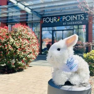  Kecskemét - Húsvéti Feltöltődés & Wellness Élménycsomag (min. 2 éj)