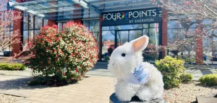 Four Points by Sheraton Kecskem�t Hotel & Konferenciak�zpont Kecskem�t - Aj�nlatok a h�sv�ti hossz� h�tv�g�re