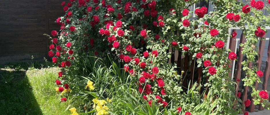 Francesco Apartmanház Velence