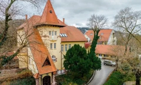 Fried Kastély Hotel Simontornya - Mindfulness hétvége a Friedben