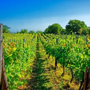 Fried Kastély Hotel Simontornya - Október 23. - teljes előrefizetéssel (min. 3 éj)