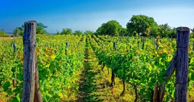 Okt�ber 23. (min. 3 �j)