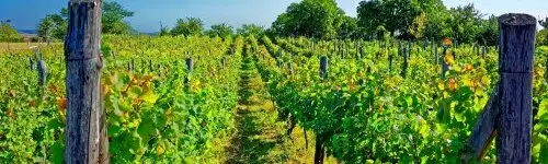 Fried Kast�ly Hotel 