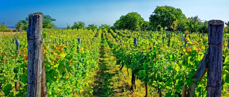 Fried Kast�ly Hotel Simontornya