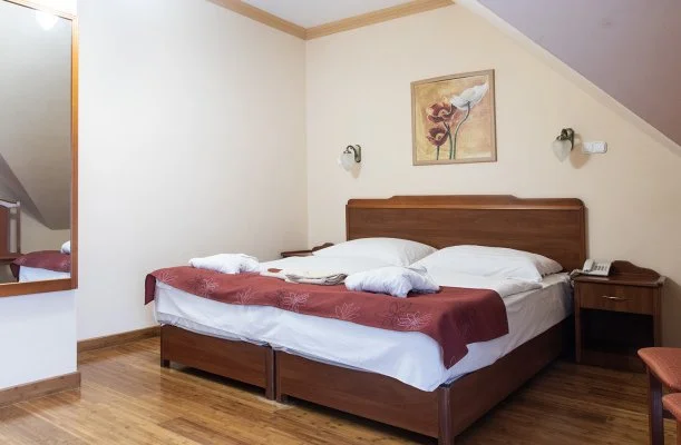 Fried Kast�ly Hotel Simontornya