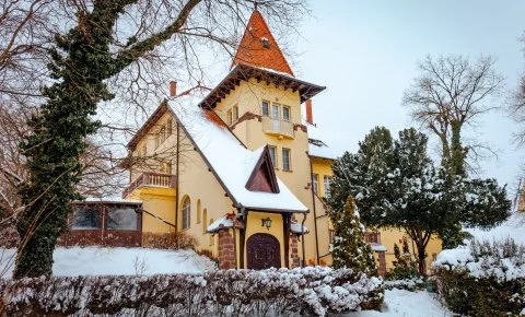 Fried Kastély Hotel Simontornya - Vissza nem térítendő ár félpanzióval