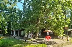 Csaldi dl Balatonszrsz
