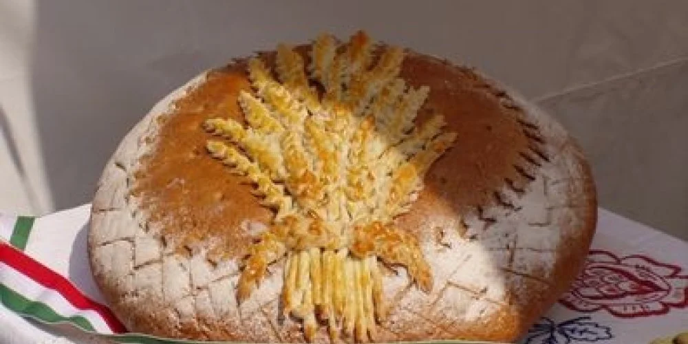 Garden Hotel Szolnok