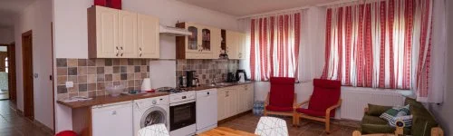 Gedeon Tanya-Panzi� 