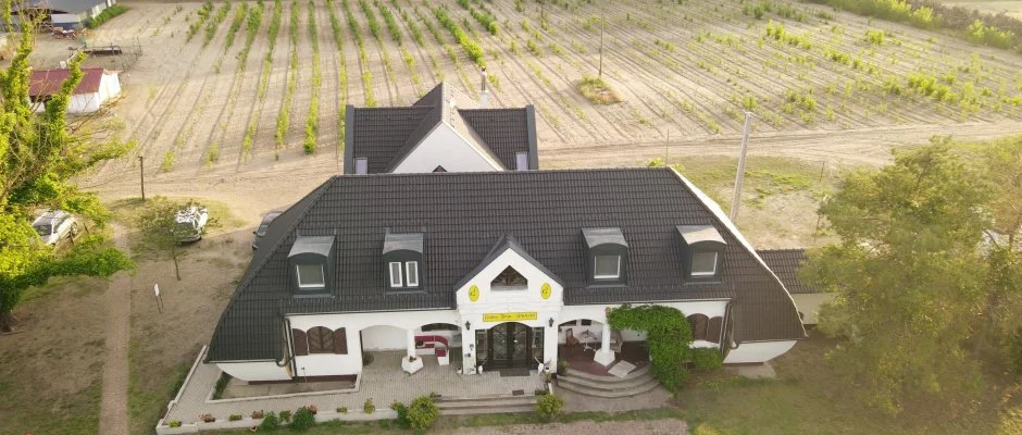 Gedeon Tanya-Panzi Jakabszlls