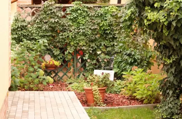 Gellény Lux Apartman Gyula Gellény Lux Apartman Gyula