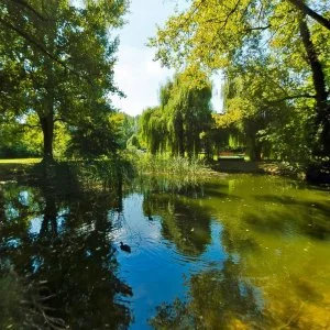  Lajosmizse - Pünkösd 